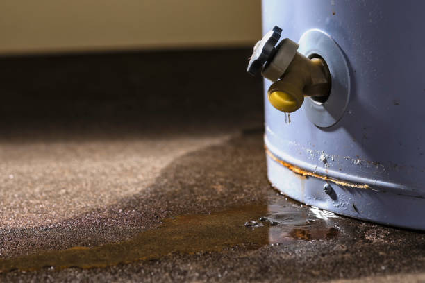 Best Basement water damage restoration  in Cold Spring, KY