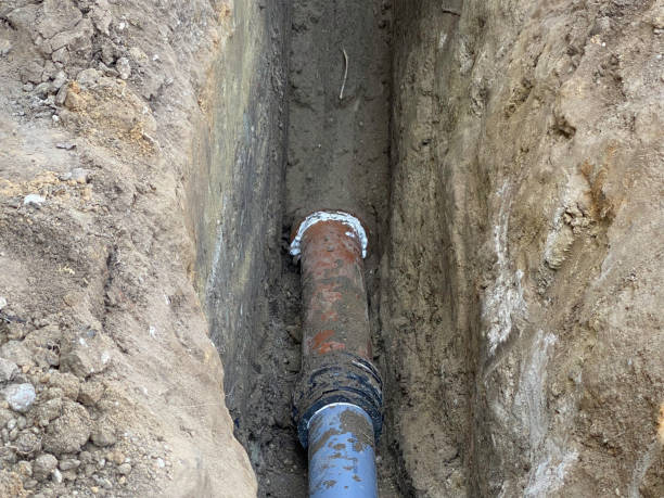 Best Flood damage cleanup  in Cold Spring, KY