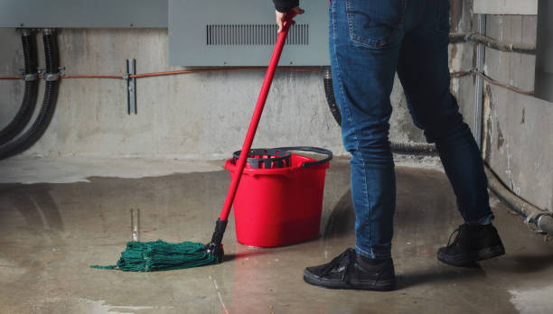 Best Carpet water damage restoration  in Cold Spring, KY
