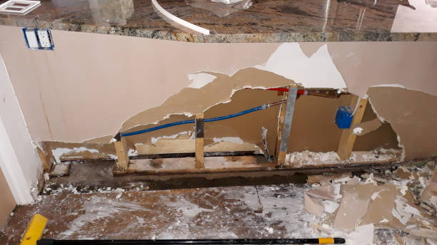 Best Water damage restoration insurance claims  in Cold Spring, KY