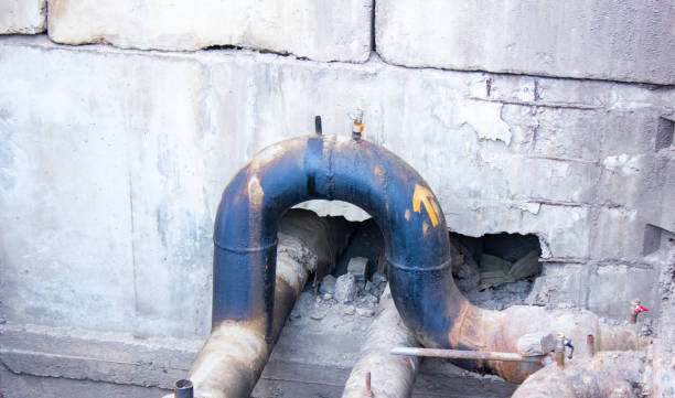 Best Water damage restoration near me  in Cold Spring, KY