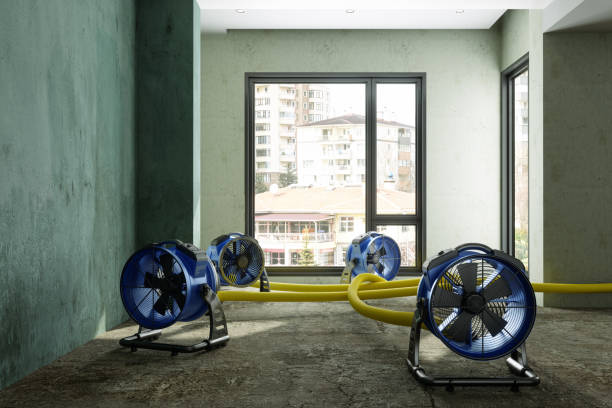 Best Local water damage restoration  in Cold Spring, KY